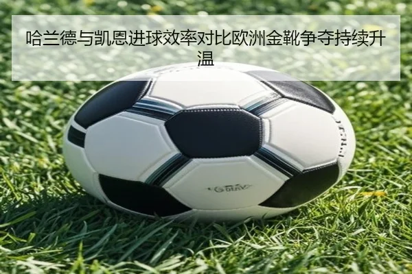 哈兰德与凯恩进球效率对比欧洲金靴争夺持续升温