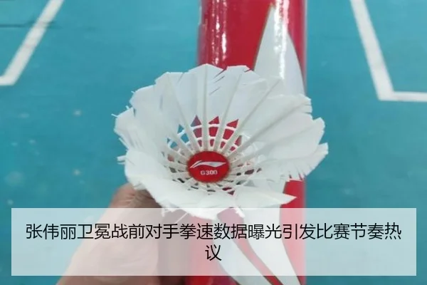 张伟丽卫冕战前对手拳速数据曝光引发比赛节奏热议